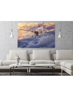Foto Obraz Short SC7 Skyvan