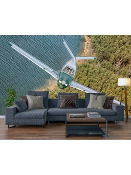 Wall mural Beechcraft Bonanza