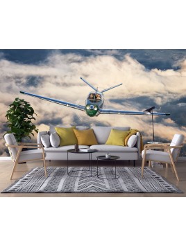 Wall mural Beechcraft Bonanza