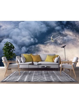 Wall mural Beechcraft Bonanza