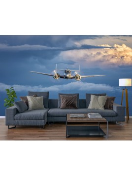 Fototapeta tapeta na ścianę...