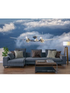 Fototapeta tapeta na ścianę...