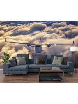 Fototapeta tapeta na ścianę...