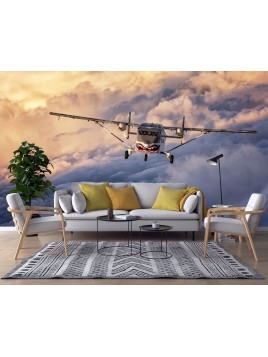 Wall mural Short SC7 Skyvan