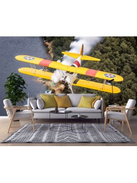 Fototapeta tapeta na ścianę...