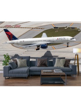 Wall mural Boeing 757 Delta...