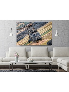 Photo Image Airbus H215...