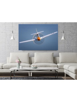 Foto Obraz P-51 Mustang