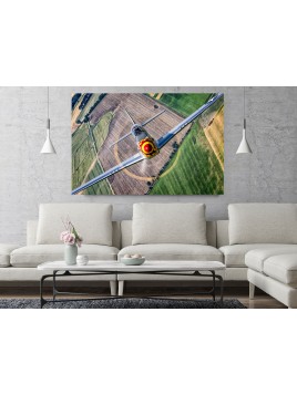 Photo Image P-51 Mustang