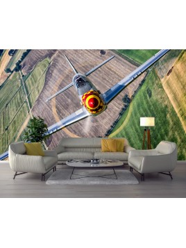 Wall mural wall P-51 Mustang