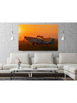 Photo Image P-51 Mustang