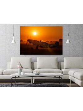 Photo Image P-51 Mustang