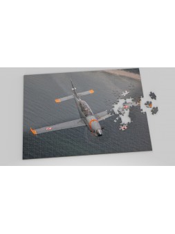 Foto Puzzle Lotnicze PZL Orlik