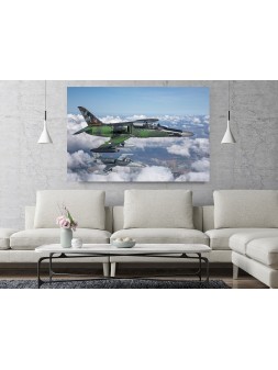 Foto Obraz Aero L-159 Alca