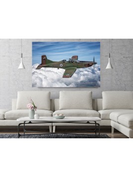 Foto Obraz Pilatus PC-9