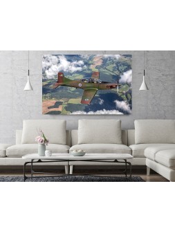 Foto Obraz Pilatus PC-9