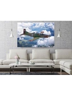 Foto Obraz Pilatus PC-9