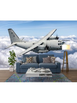 Wall mural wall C-27J Spartan