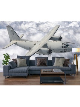 Wall mural wall C-27J Spartan