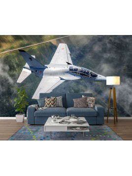 Fototapeta tapeta na ścianę...