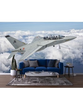 Wall mural wall mural M346...