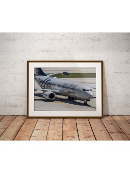 Plakat Delta Airlines w...