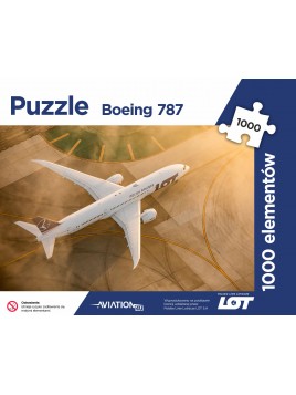 Photo Aviation Puzzle...