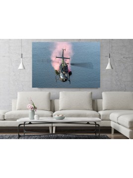 copy of Photo image TS-11...