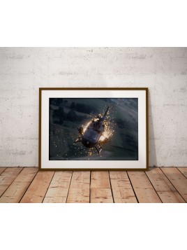 Plakat Bolkow BO-105