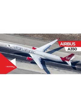 copy of Beach towel Boeing 737