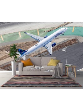 copy of Wall mural boeing...