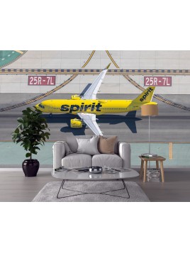 copy of Wall mural boeing...