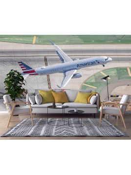 copy of Wall mural boeing...