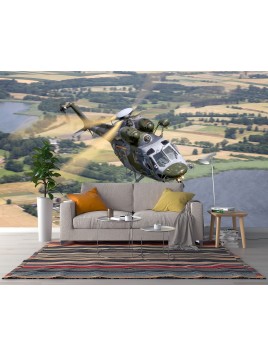 copy of Wall mural...