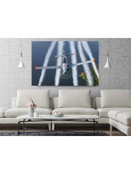 Foto Obraz PZL Orlik