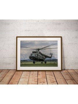 Poster Mi-171