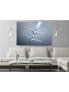 copy of PZL Orlik Photo Image