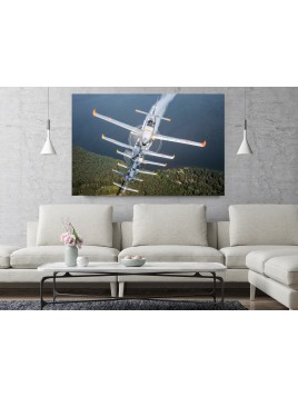 Foto Obraz PZL Orlik