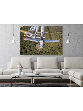 copy of PZL Orlik Photo Image