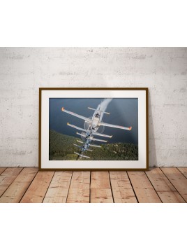 copy of Poster PZL Orlik