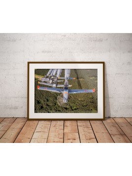 copy of Poster PZL Orlik