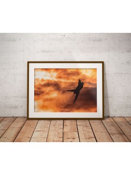 copy of Eurofighter Typhoon...