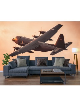 copy of Wall mural wall...