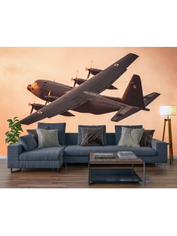 Fototapeta tapeta na ścianę...