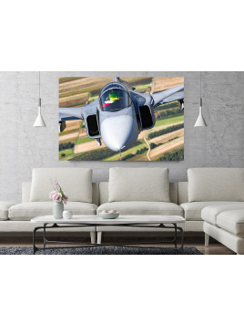 copy of JAS-39 Gripen Czech...
