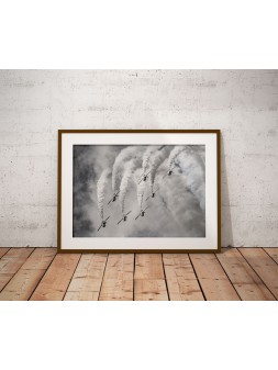 Red Arrows Poster