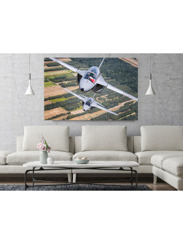 Foto Obraz M346 Master -...