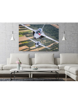 Foto Obraz M346 Master -...