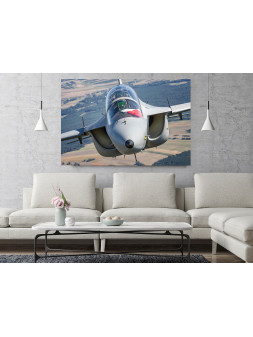 Foto Obraz M346 Master -...