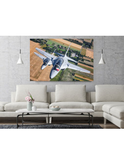 Foto Obraz M346 Master -...